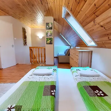 Gasthuis Bor-villa Vendeghaz Bogács