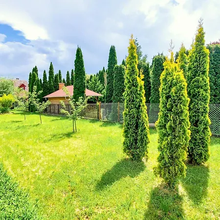 Bor-villa Vendeghaz *