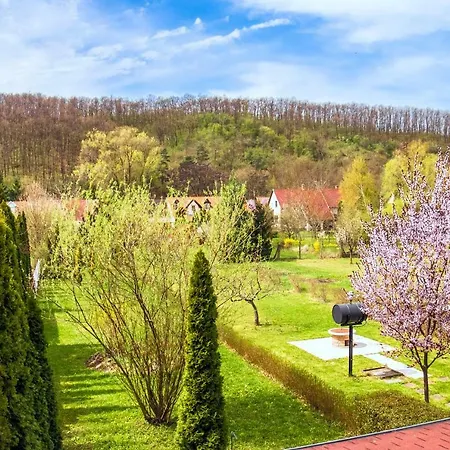 Bor-villa Vendeghaz Bogács